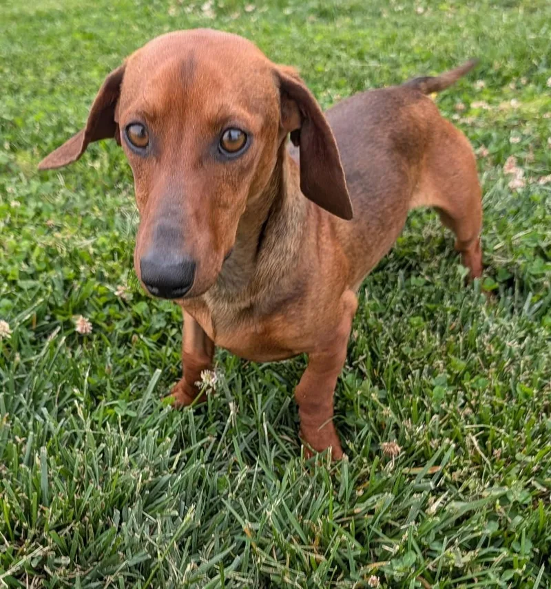 Hugo In Tn thumbnail 2