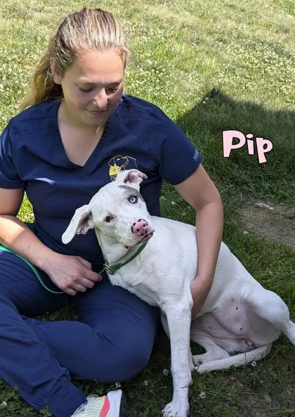 Pip thumbnail 3
