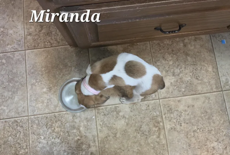Miranda Mars thumbnail 4