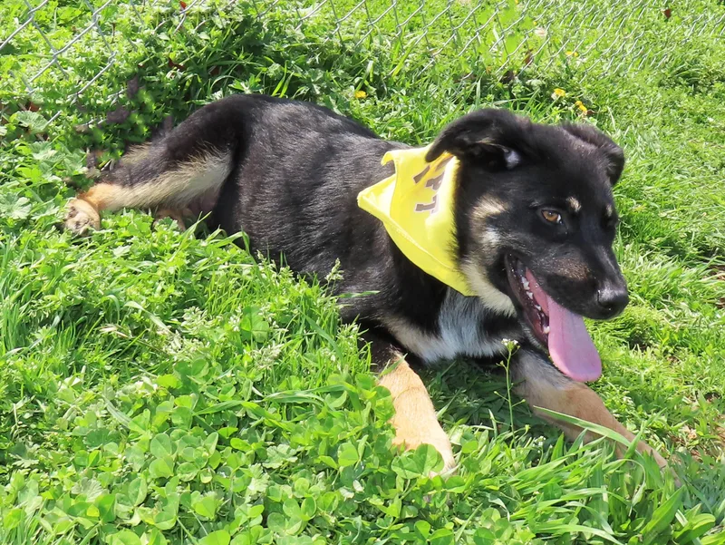 Gretel  Cb  thumbnail 2