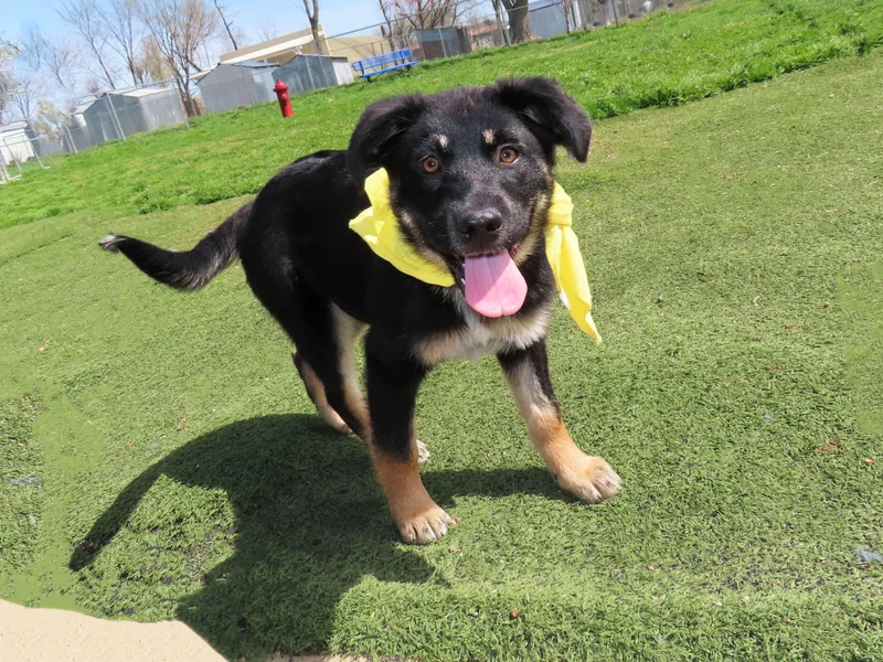 Gretel  Cb  thumbnail 5