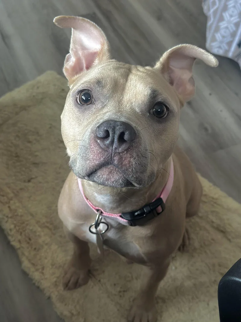 Hazel Nj thumbnail 2