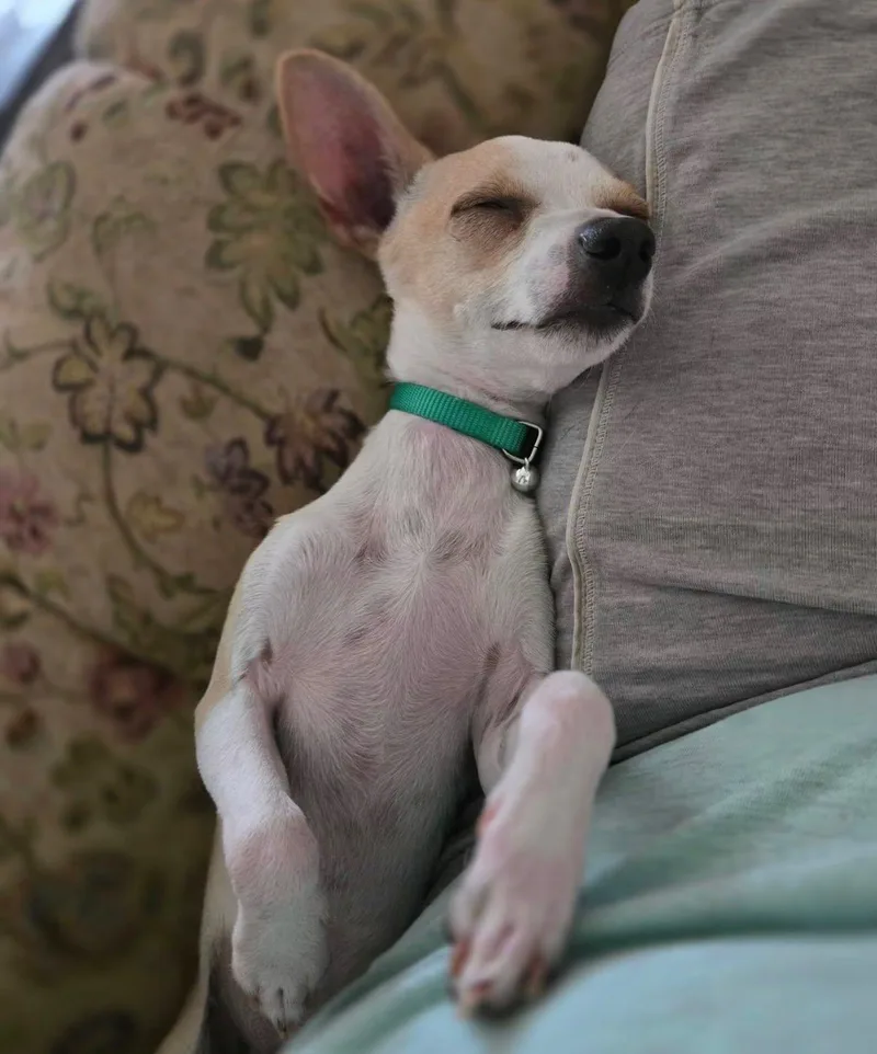 Otis thumbnail 3