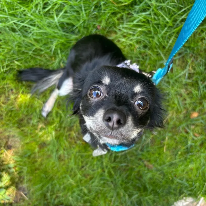 Misha thumbnail 2