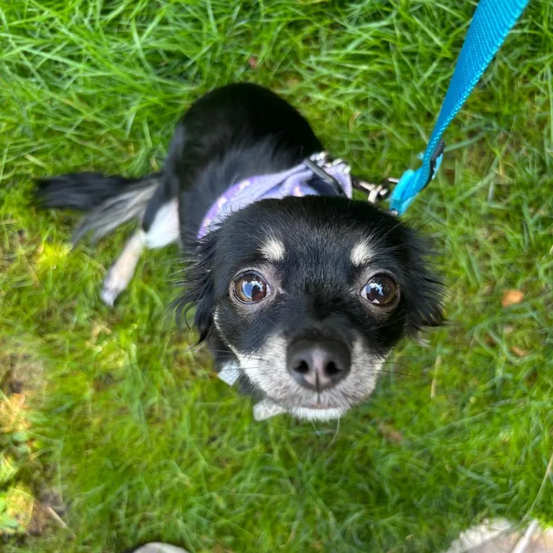 Misha thumbnail 3