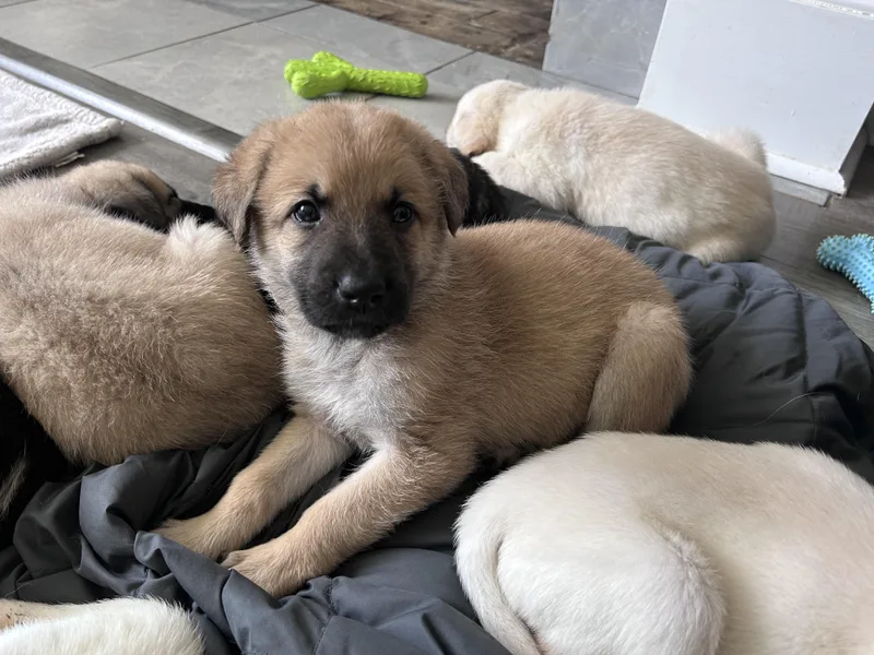 Clay Callaway thumbnail 3