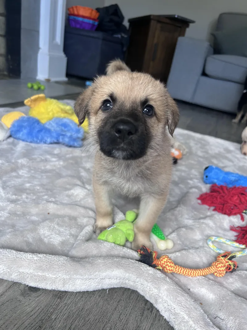 Clay Callaway thumbnail 4