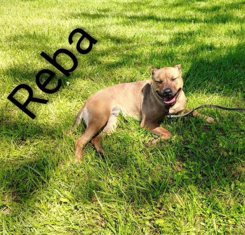 Reba thumbnail 2