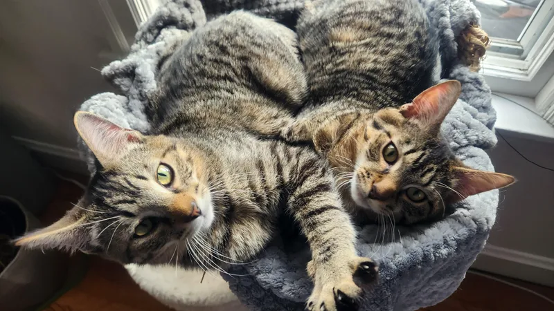 Conrad & Jeremiah thumbnail 2