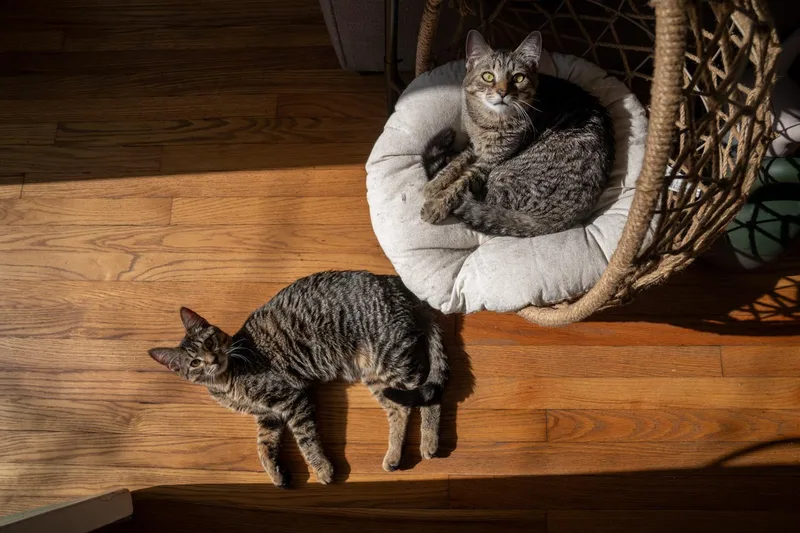 Conrad & Jeremiah thumbnail 4