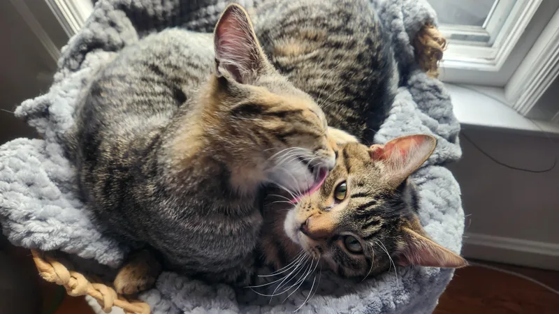 Conrad & Jeremiah thumbnail 5