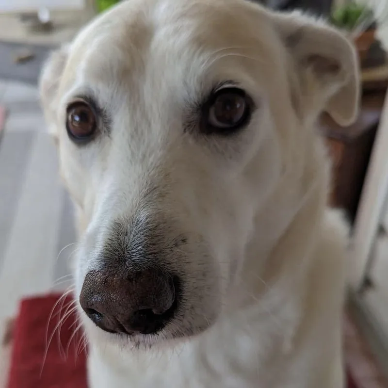 Wrigley thumbnail 4