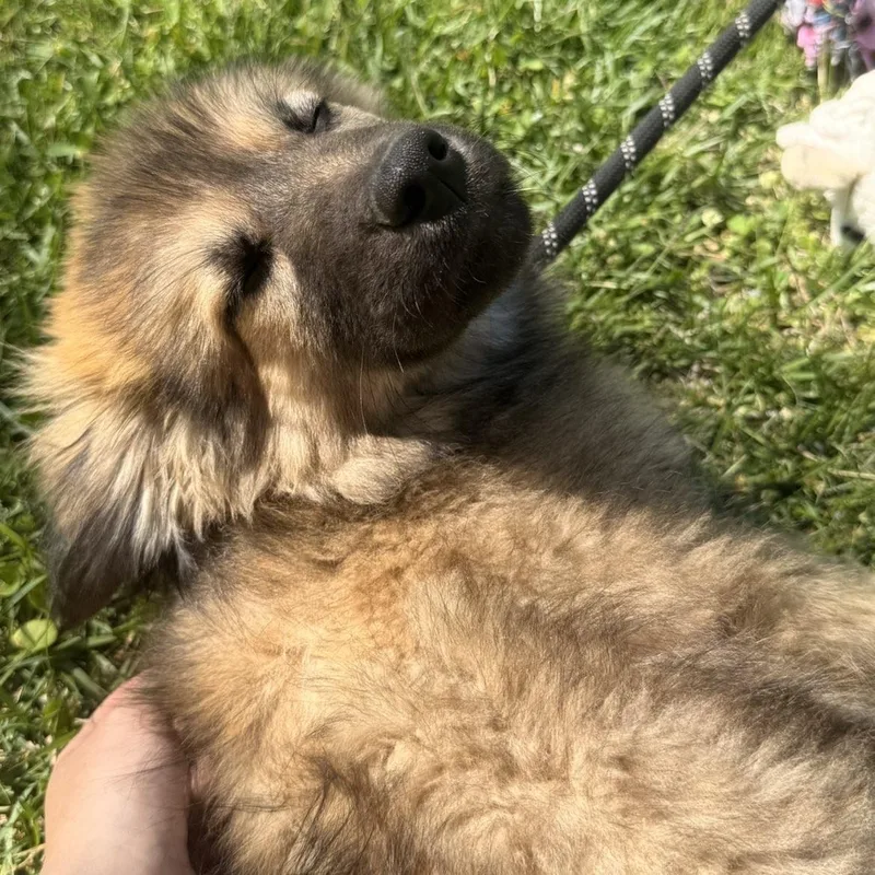 Valentina thumbnail 2