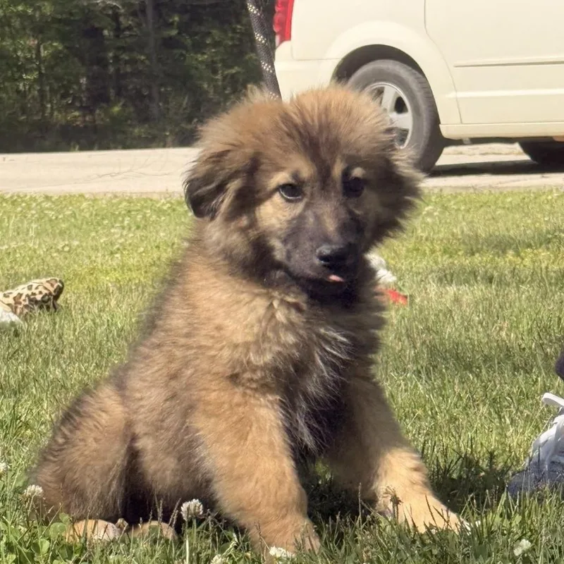 Valentina thumbnail 3