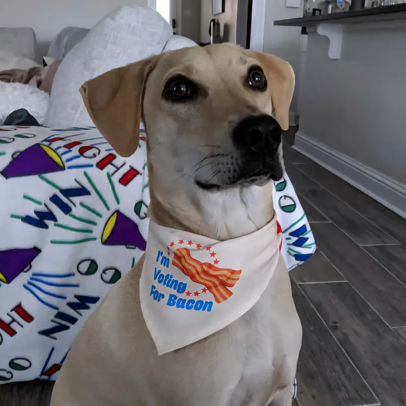 Ben Bonded Pair thumbnail 2