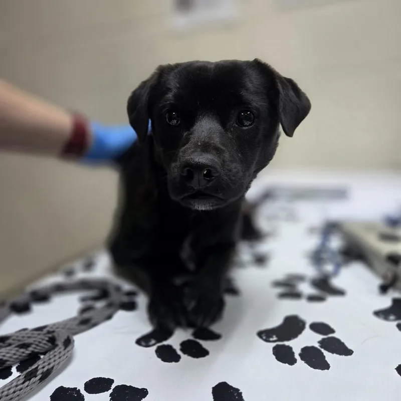 Sea Weed thumbnail 2