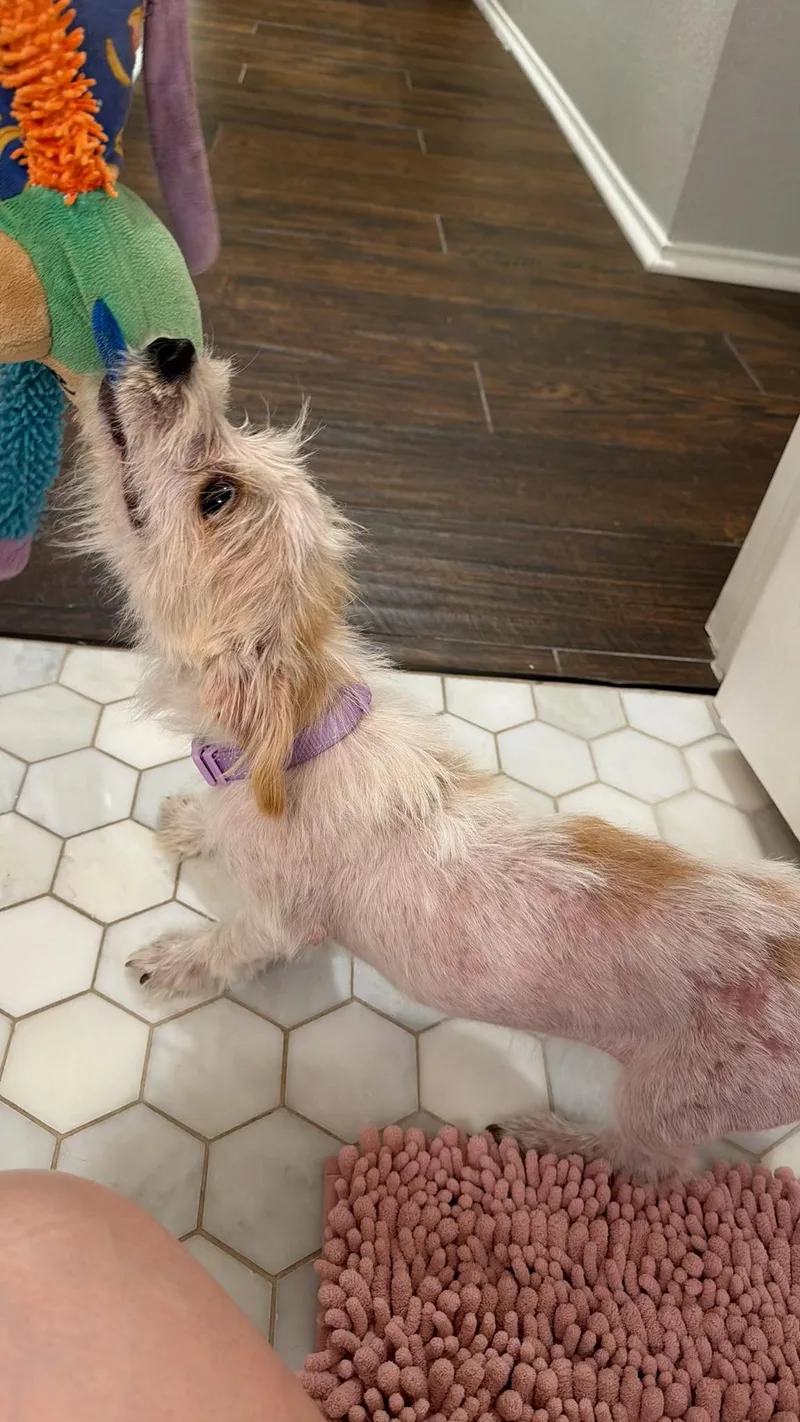 Kiki Is Adorkable thumbnail 2
