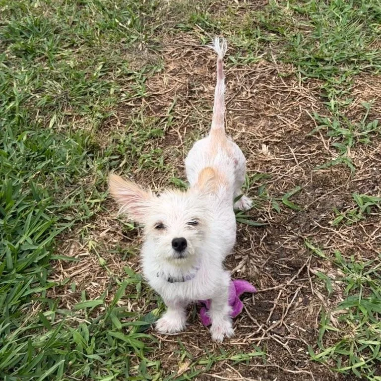 Kiki Is Adorkable thumbnail 3