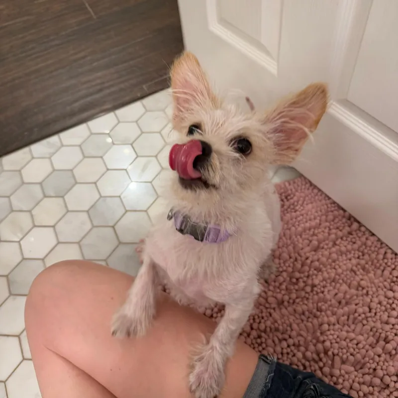 Kiki Is Adorkable thumbnail 4