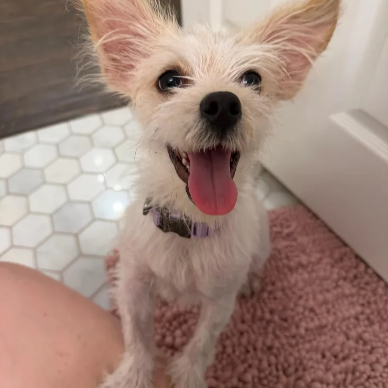 Kiki Is Adorkable thumbnail 5