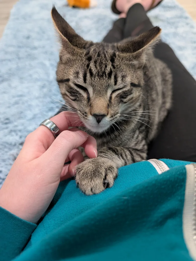 Wreckit Ralph thumbnail 2