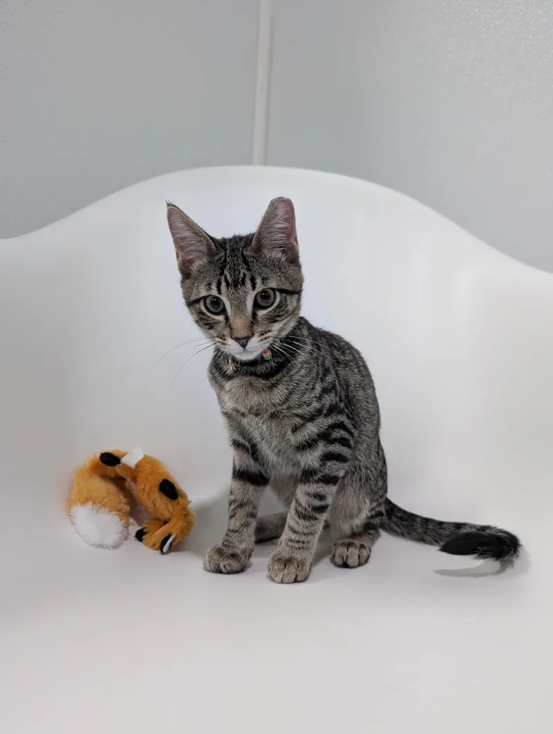 Wreckit Ralph thumbnail 3