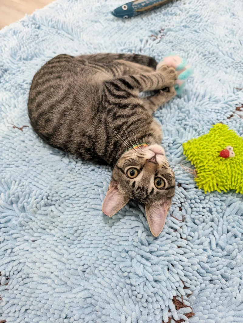 Wreckit Ralph thumbnail 5