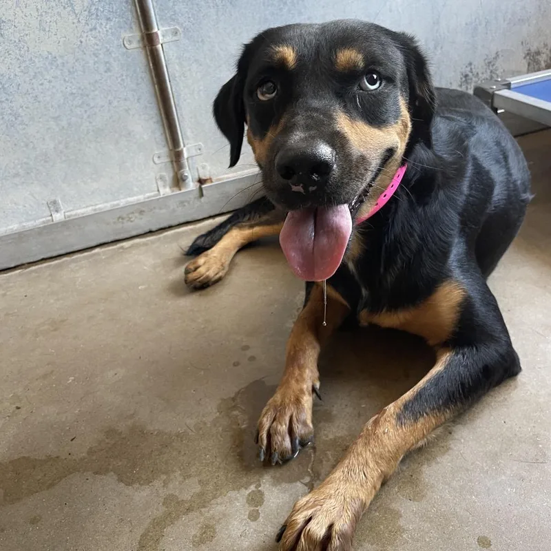 Ms. Love thumbnail 2