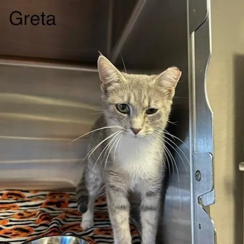Greta