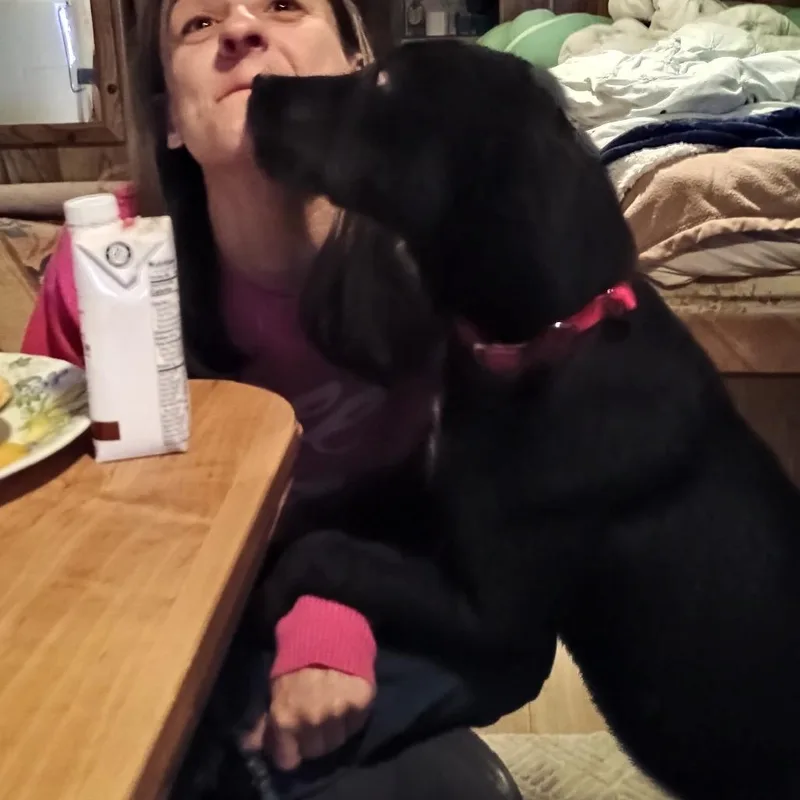 Missy Ii thumbnail 6