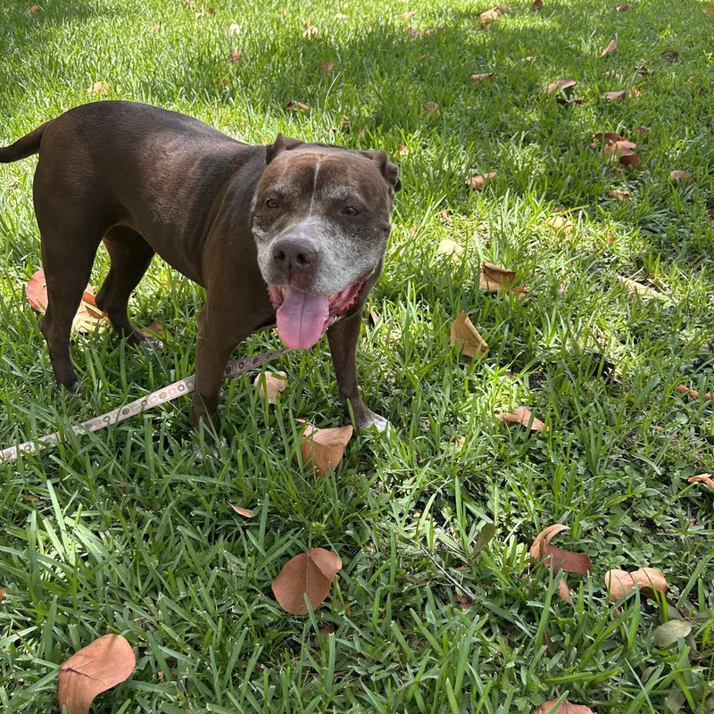 Coco