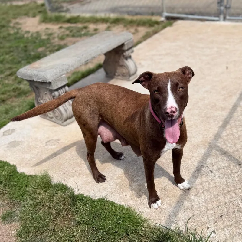 Heirloom thumbnail 2