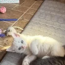 Casper thumbnail 2