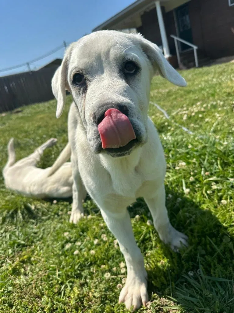 Franklin thumbnail 5