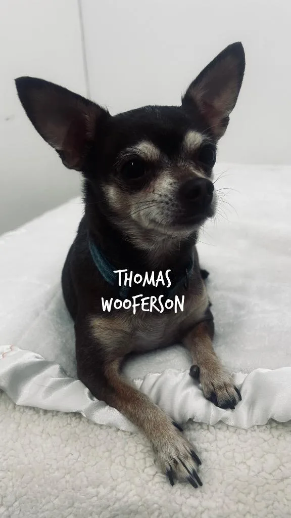 Thomas Wooferson