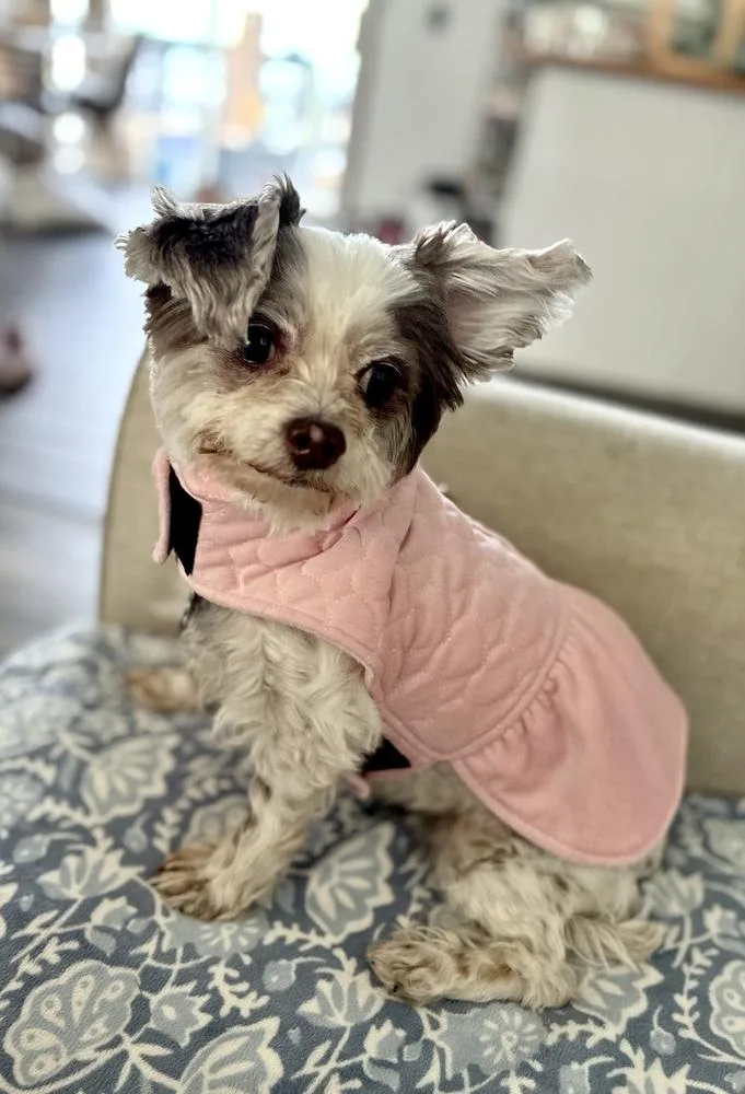 Missy aka Mavis thumbnail 2