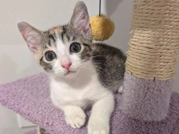 Margot thumbnail 4