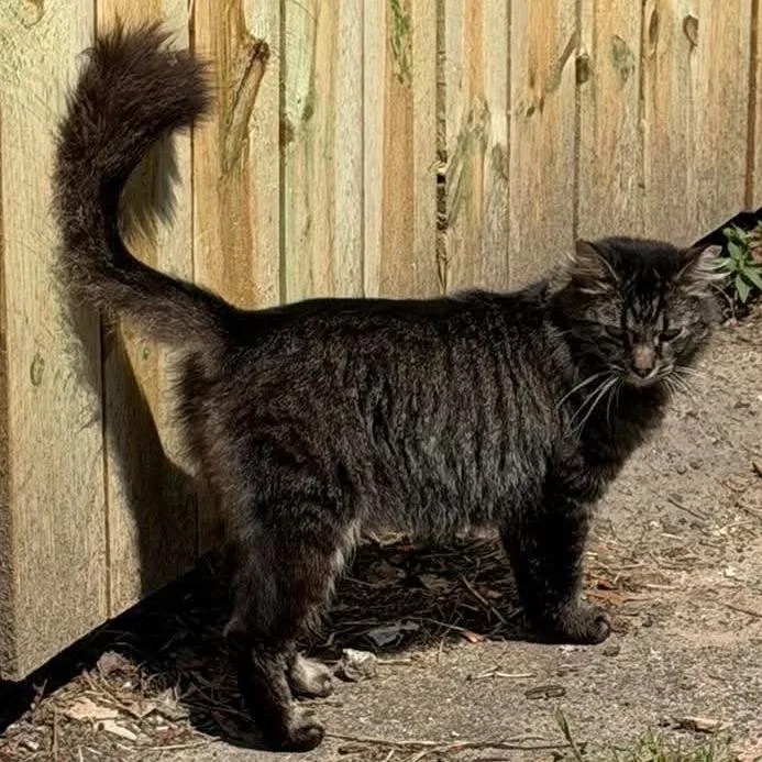 Mommy  Home to thumbnail 2