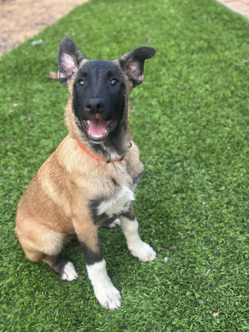 Johnny Cash thumbnail 4