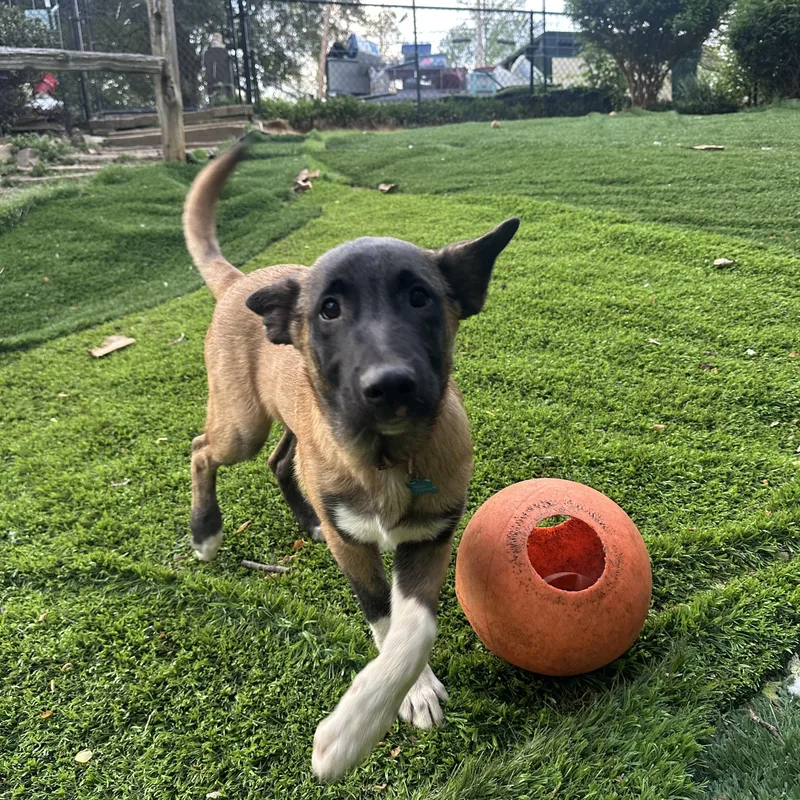 Johnny Cash thumbnail 5