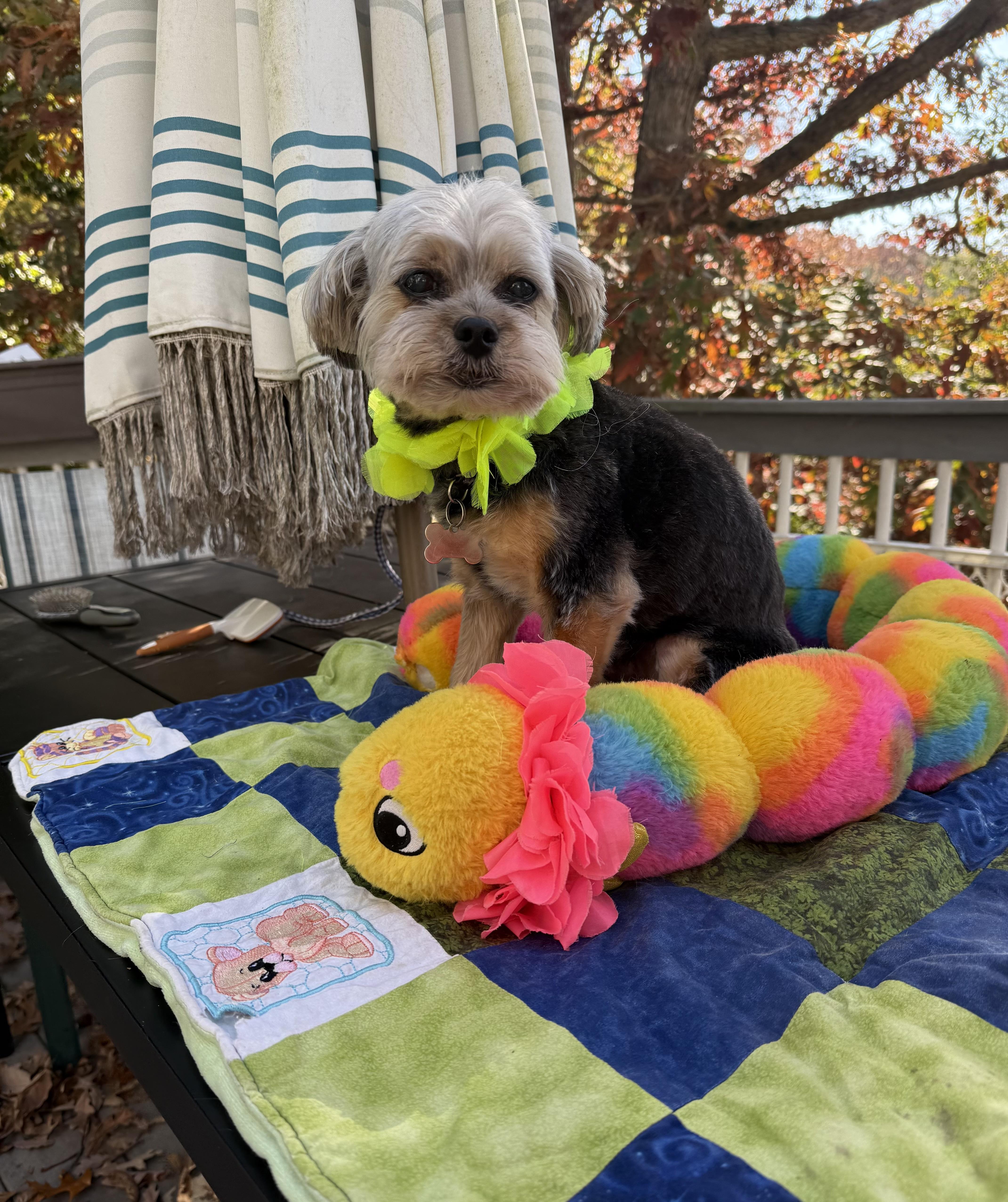 Sampson thumbnail 5
