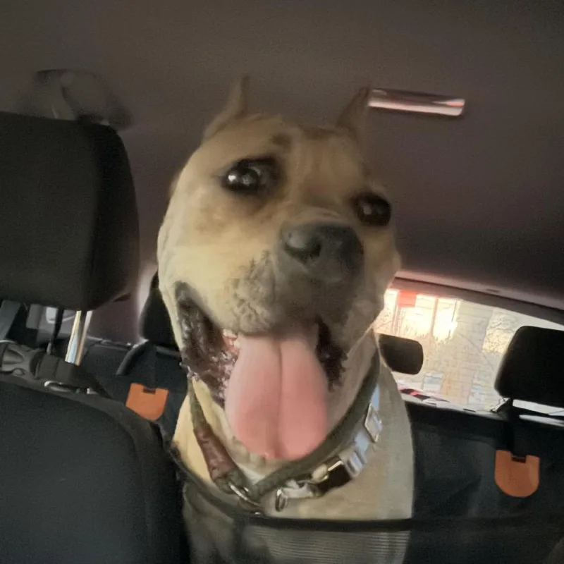 Janie ~ Coming Soon!!!