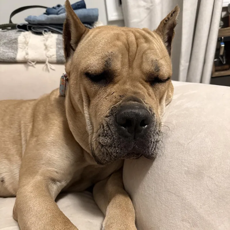 Janie ~ Coming Soon!!! thumbnail 2