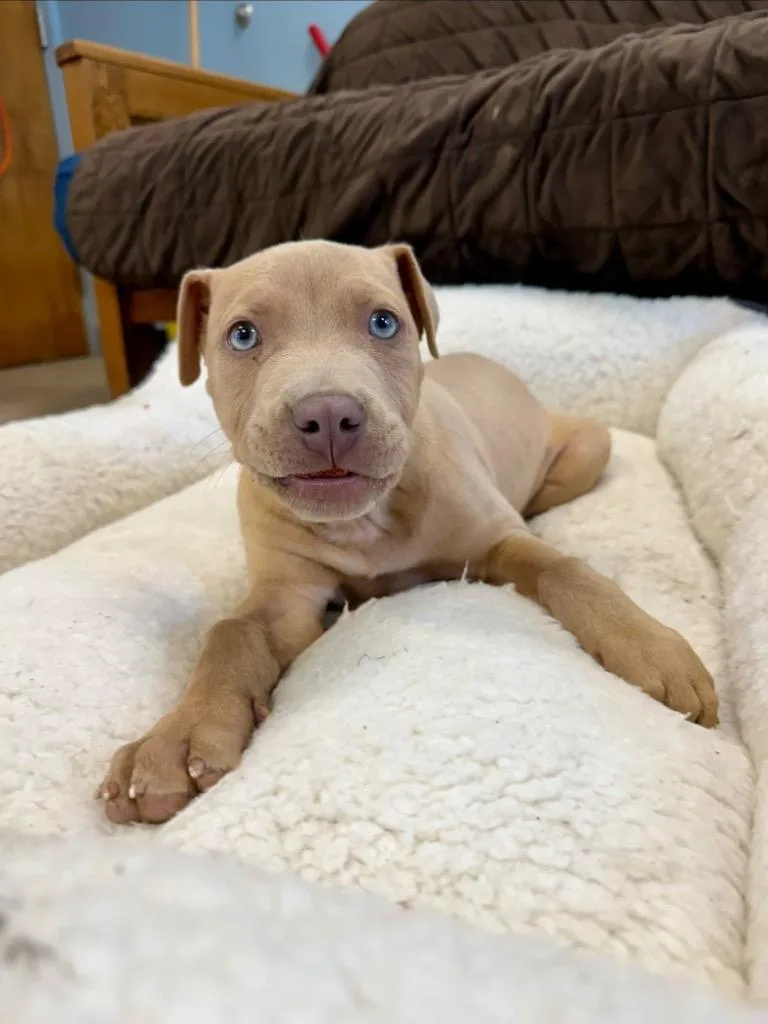 Squirtle thumbnail 2