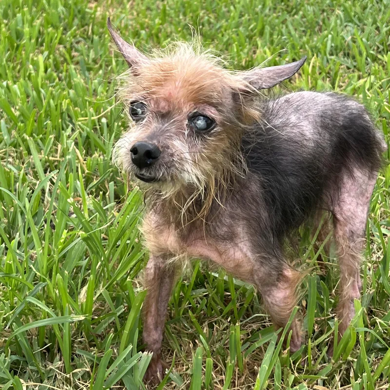 Freddy thumbnail 3