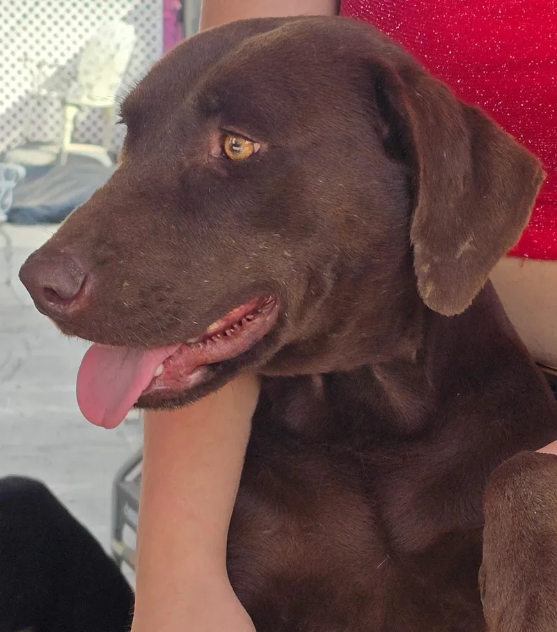 Roosevelt thumbnail 5