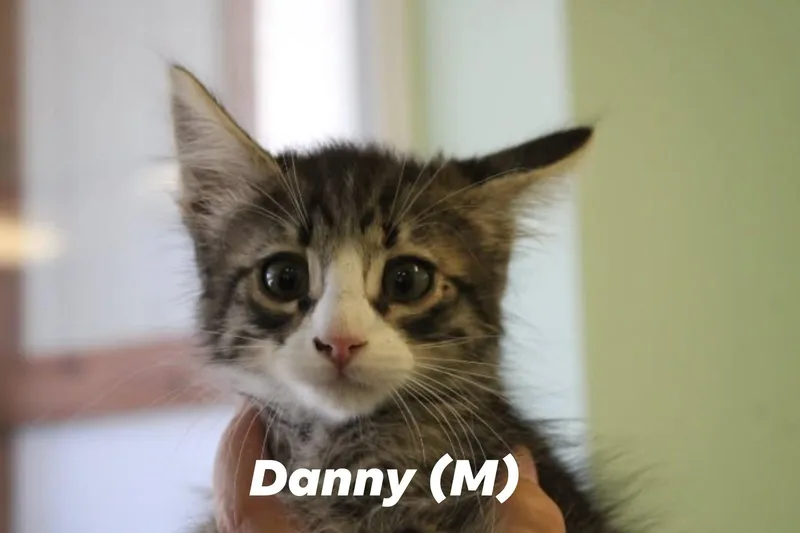 Danny