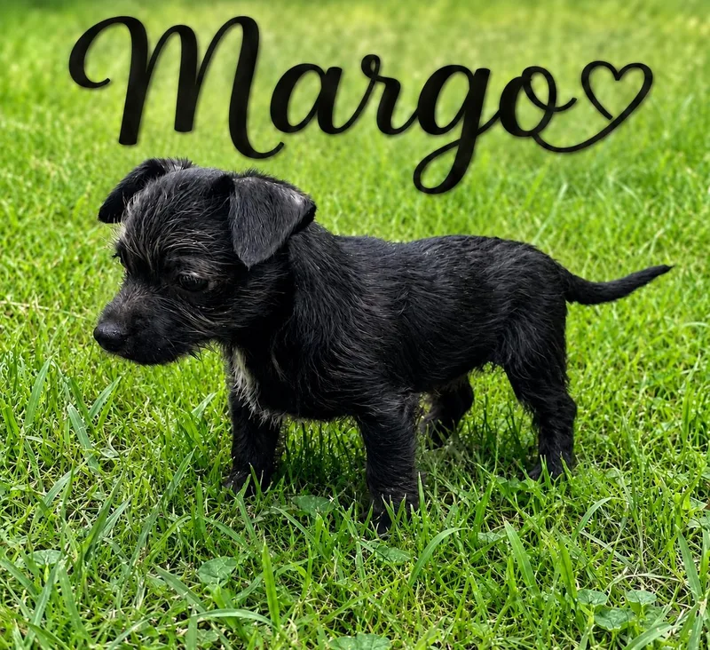 Margo thumbnail 5