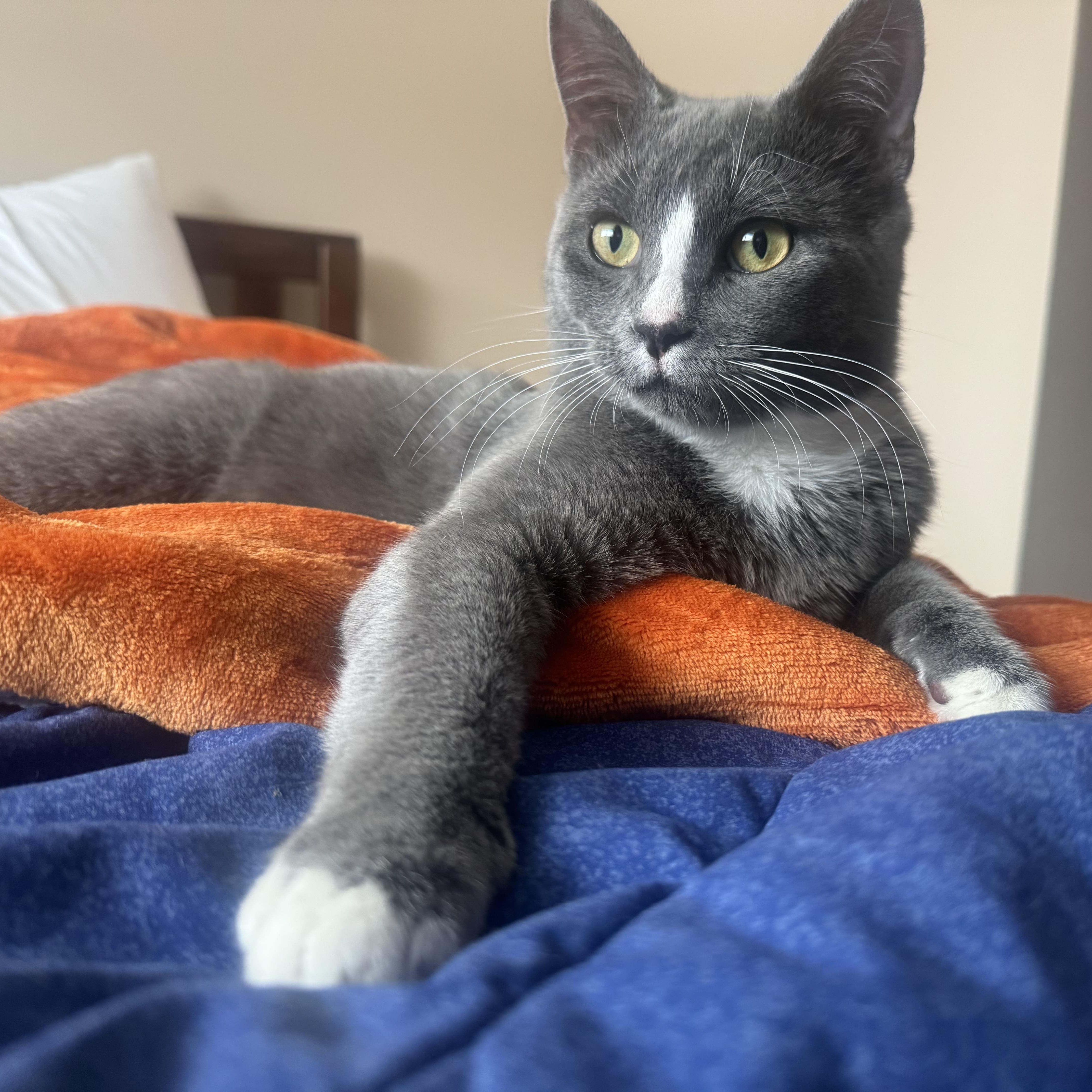 Greyson & Rory thumbnail 2