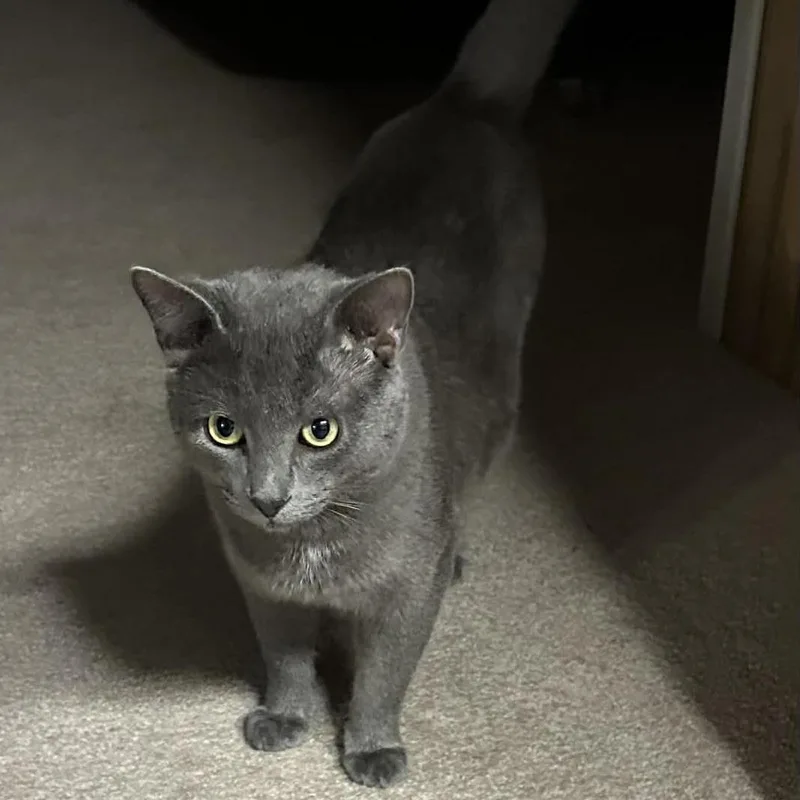 Greyson & Rory thumbnail 4